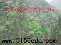 《说几句爱海的孩子气的话》ppt课件2